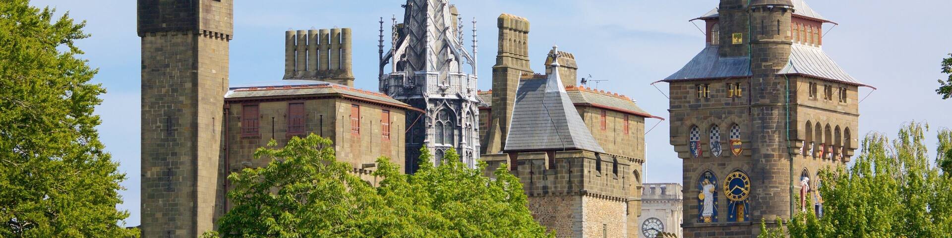 Bute Park showing heritage architecture, chateau or palace and heritage elements
