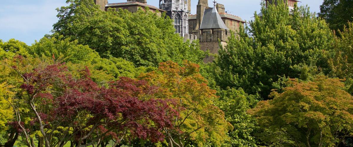 Bute Park johon kuuluu puisto sekä pieni ryhmä ihmisiä