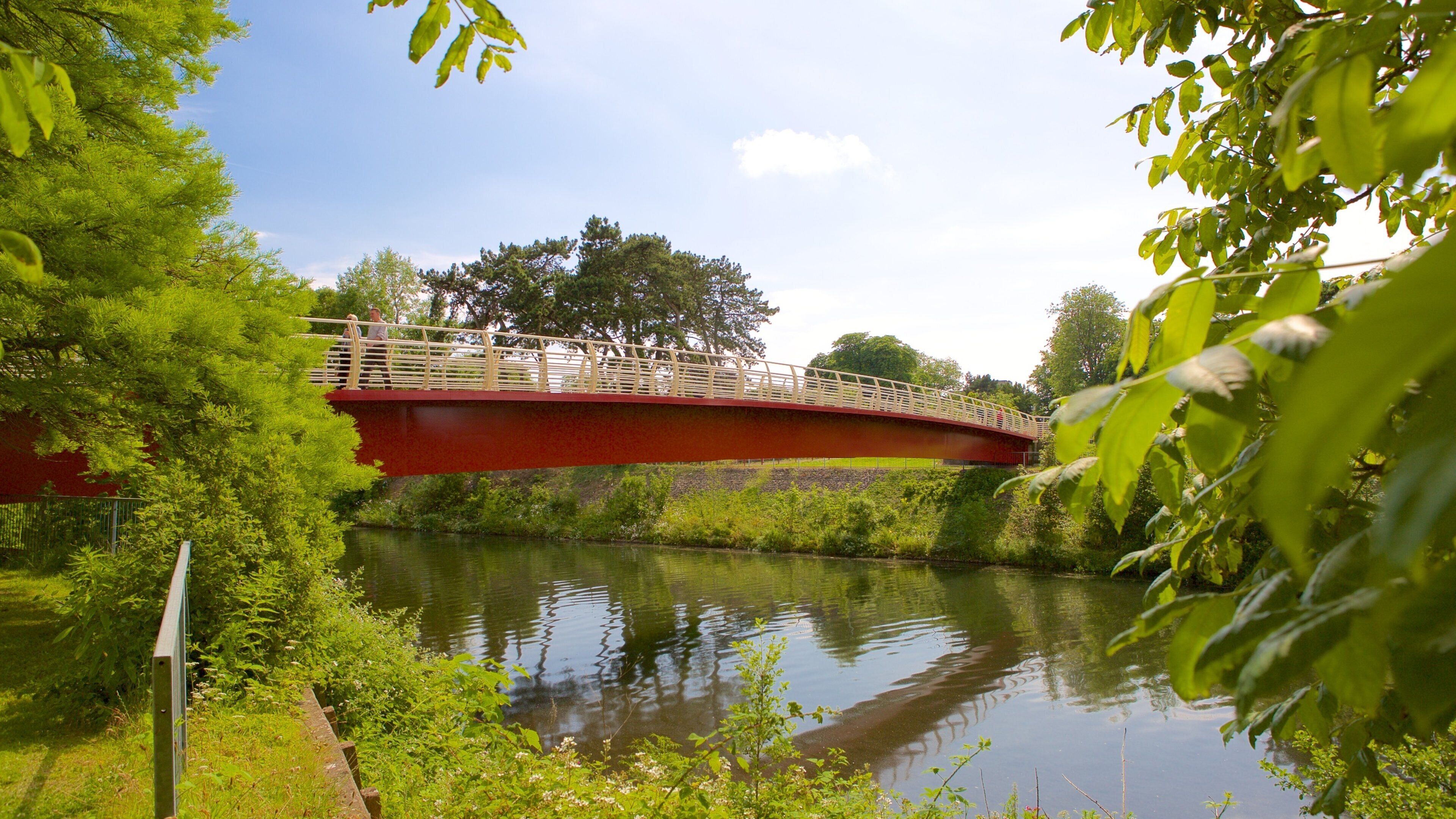 Bute Park showing a bridge and a park