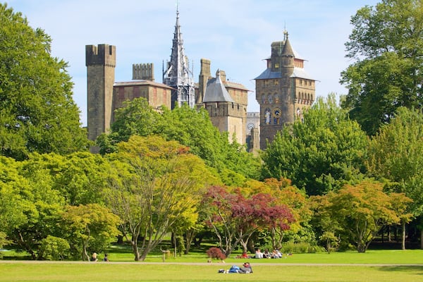 A castle surrounded by lush green trees and a park with people relaxing.