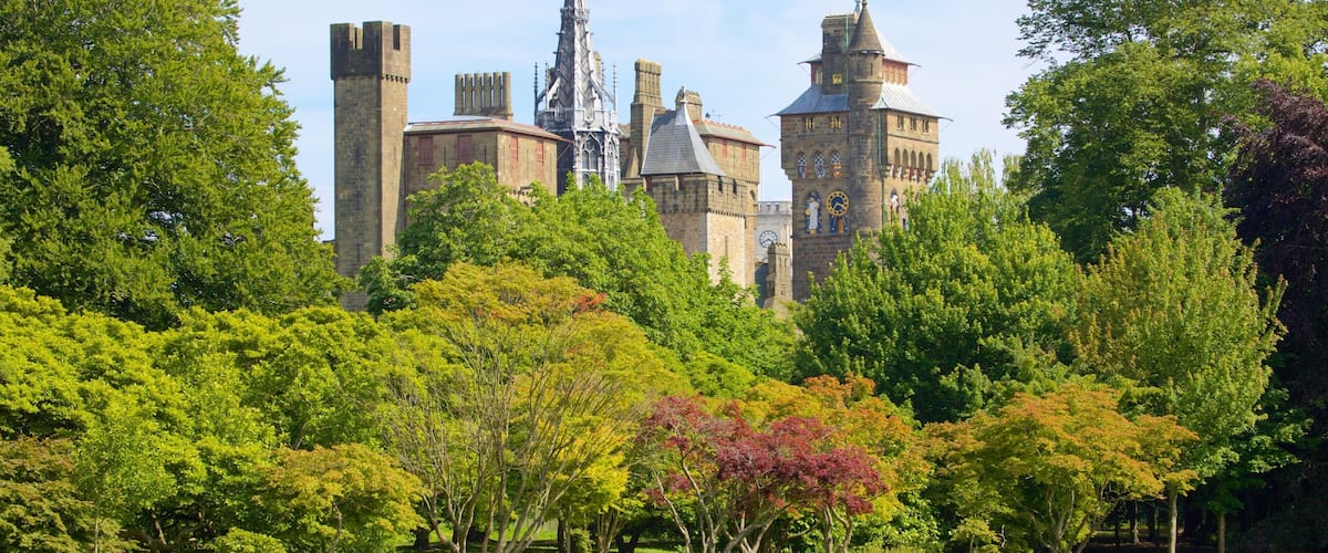 A castle surrounded by lush green trees and a park with people relaxing.