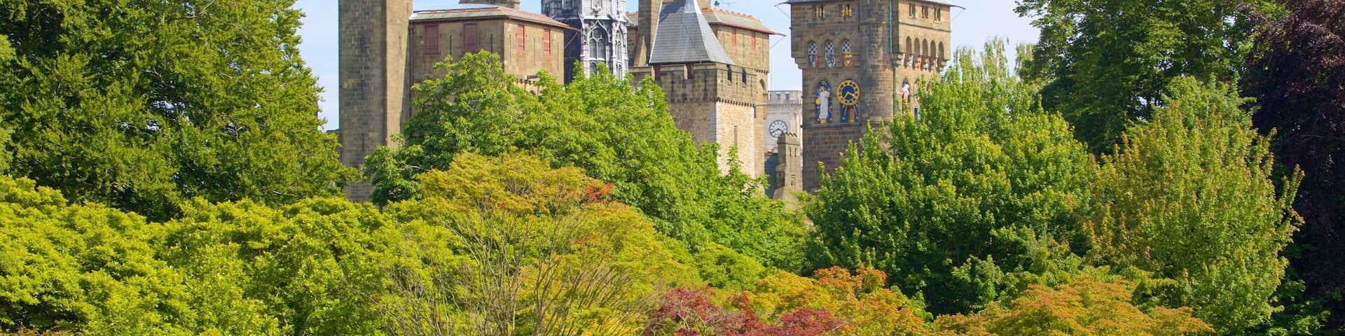 Bute Park featuring a garden, a castle and heritage architecture