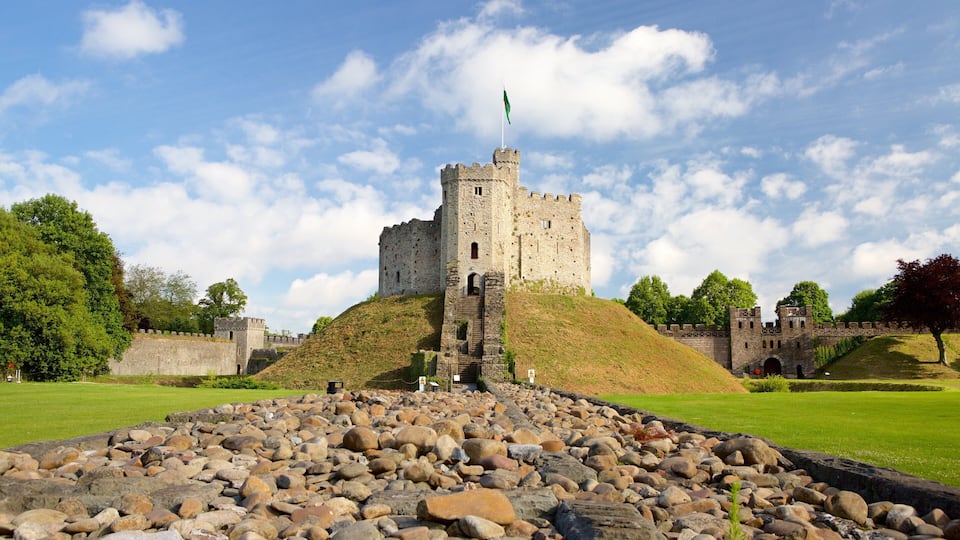 A historic castle with a flag, surrounded by a grassy area and a stone wall.