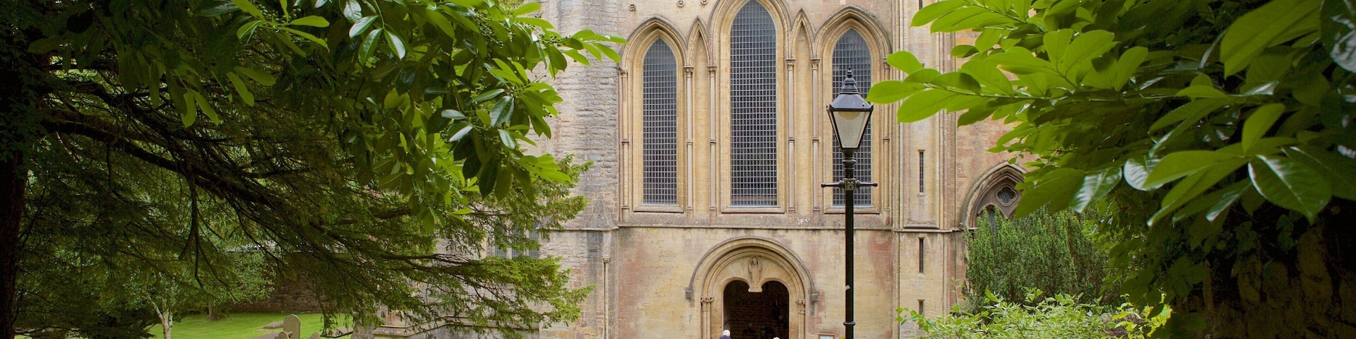 Llandaff Cathedral ofreciendo una iglesia o catedral, elementos patrimoniales y elementos religiosos