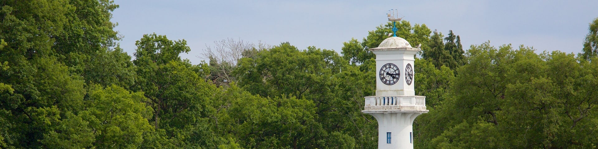 Roath Park featuring a garden and a lake or waterhole