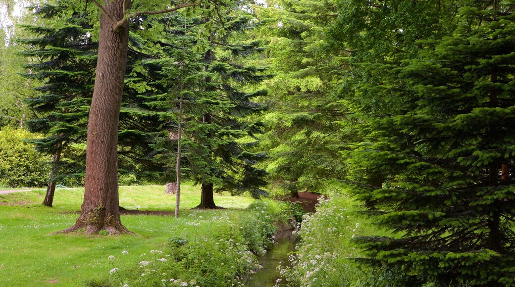 Roath Park featuring a river or creek and a garden