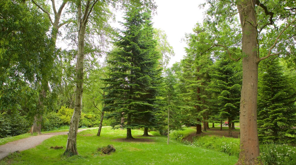 Roath Park featuring a garden