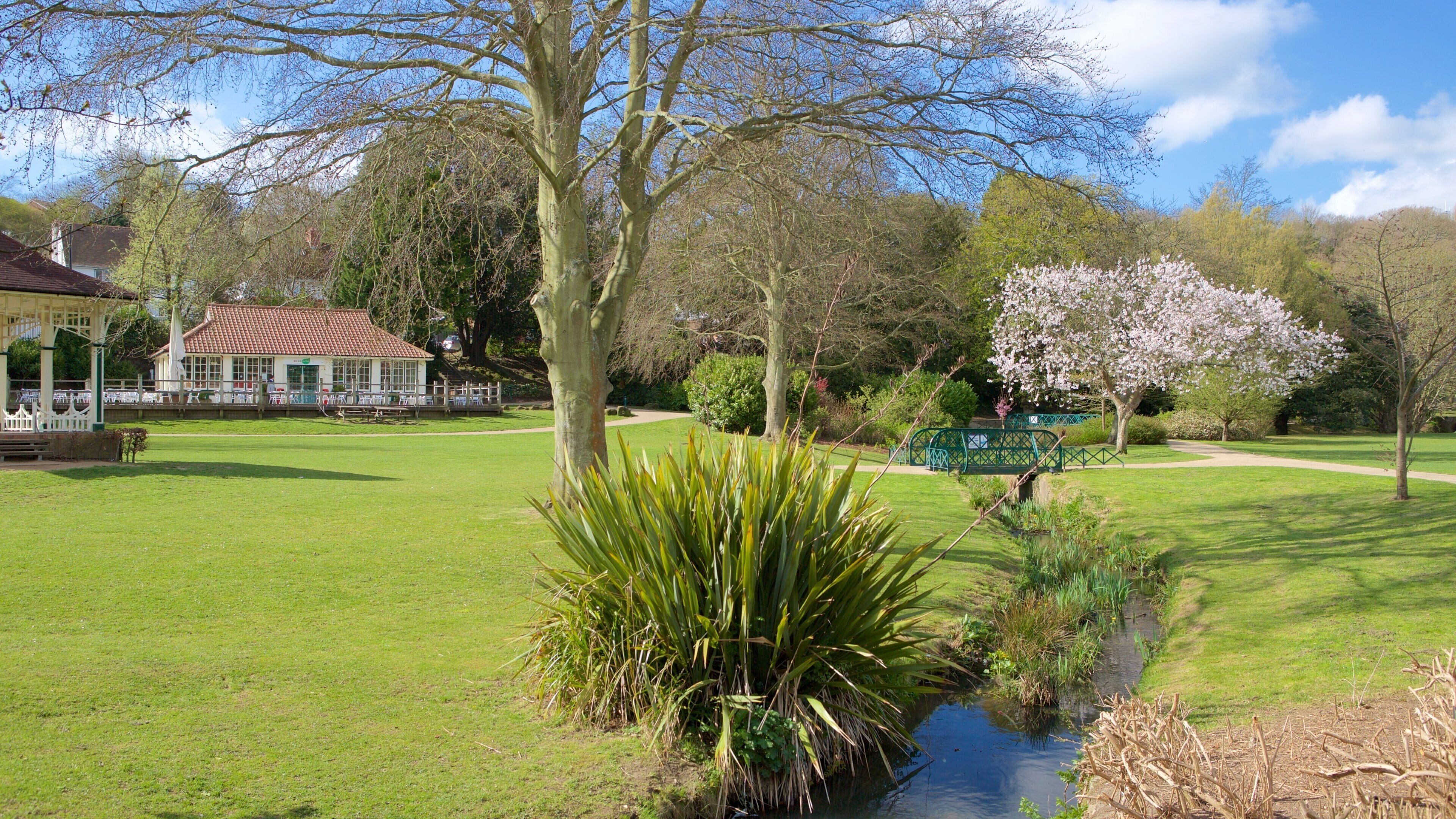 Alexandra Park showing a garden and a river or creek