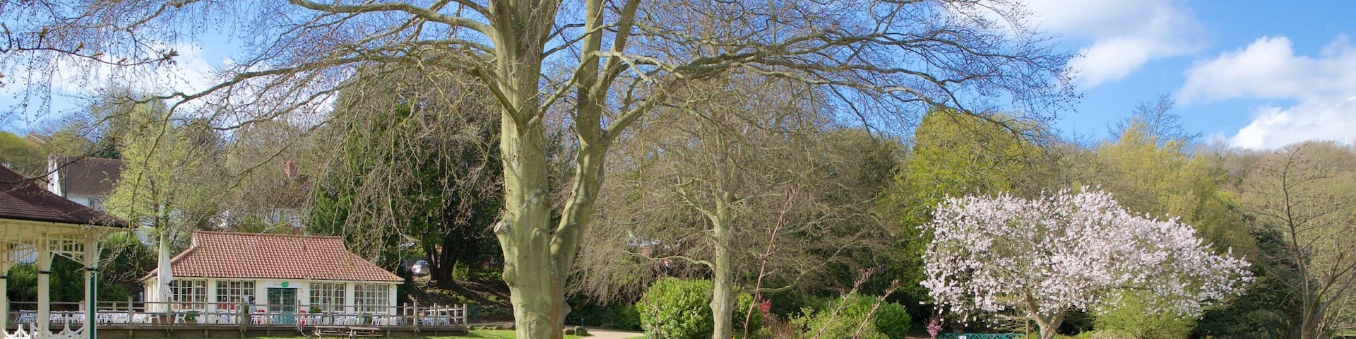 Alexandra Park showing a river or creek and a garden
