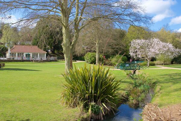 Alexandra Park showing a park and a river or creek