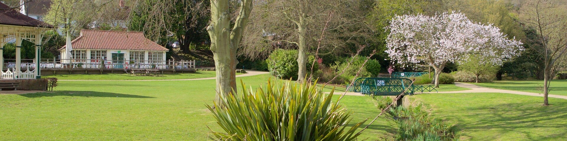 Alexandra Park showing a park and a river or creek