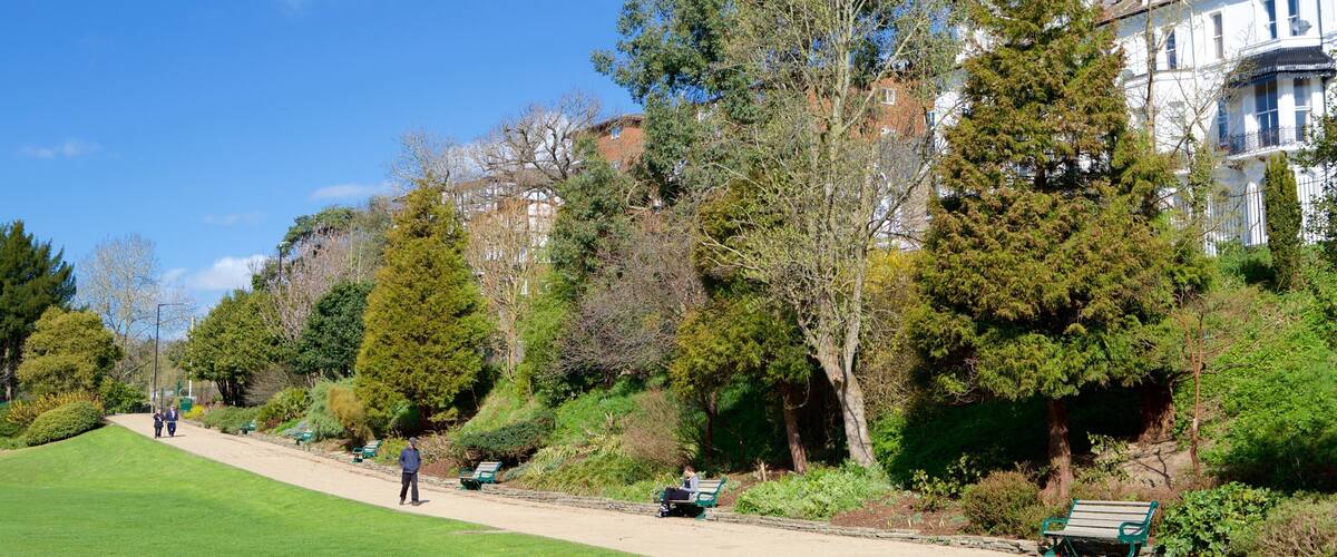 Alexandra Park montrant jardin