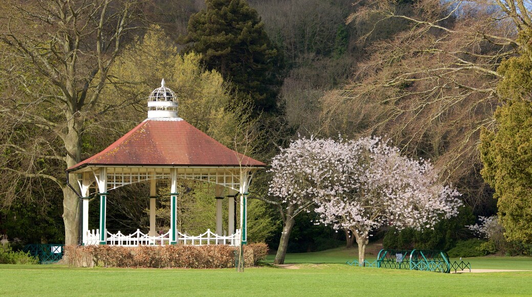 Alexandra Park fasiliteter samt hage