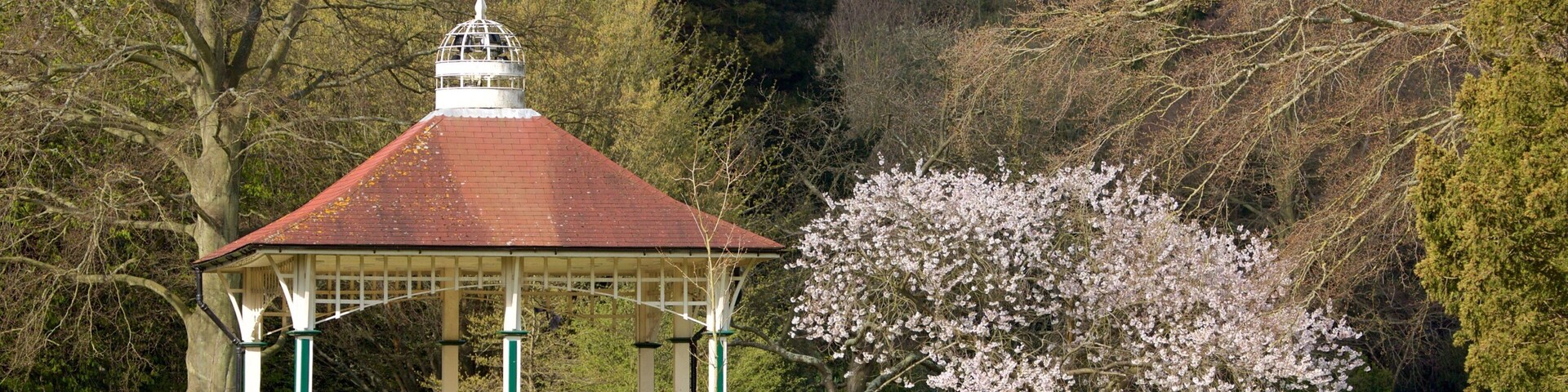 Alexandra Park mostrando um parque