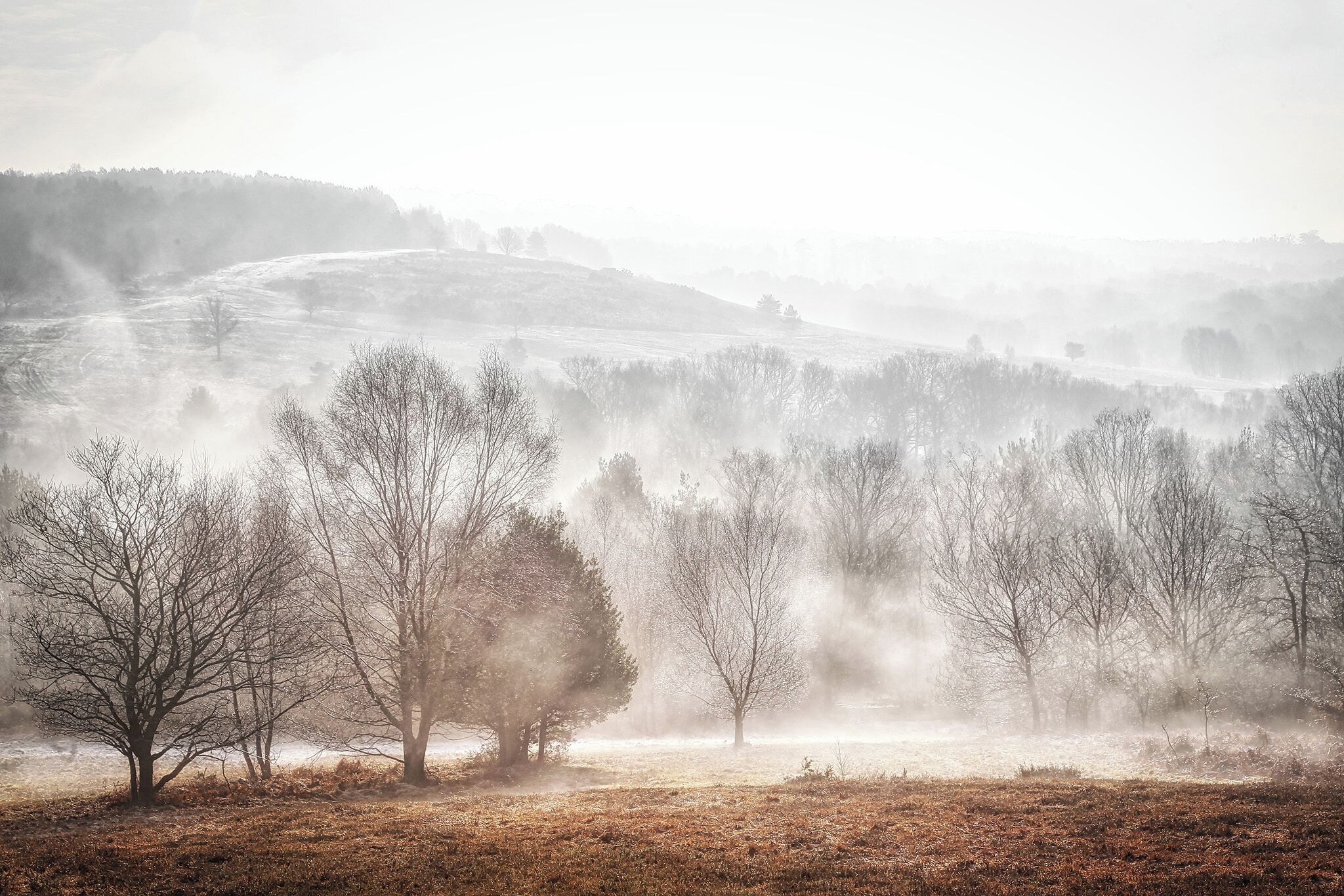 A misty winter's morning on Ashdown Forest.

Some great all year round walks can be found here, I have spent many an hour exploring with my dog, there's always something new to see on an ever changing landscape of heather, trees and wildlife.