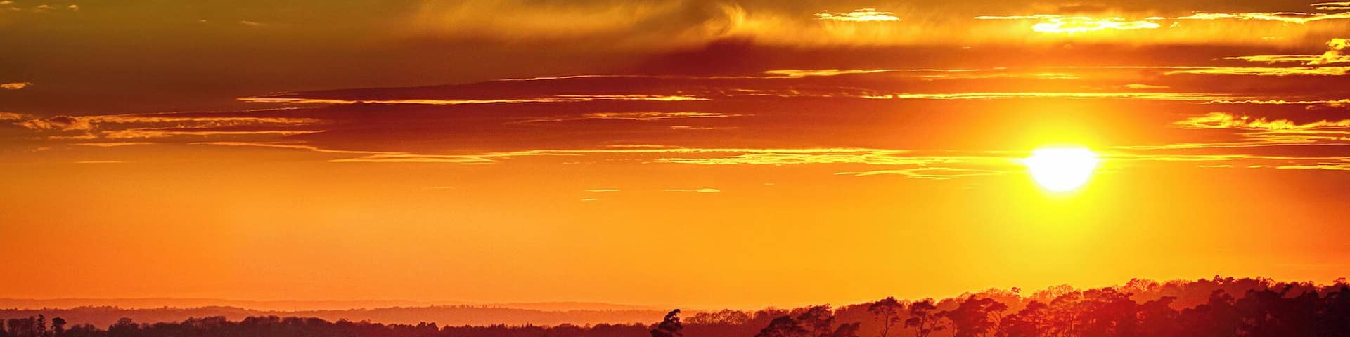 Originally a deer hunting forest in Norman times, Ashdown Forest is now one of the largest free public areas in the South East of England.
It is a great place for walking and enjoying amazing views over the Sussex countryside and is known the world over as the 'home' of Winnie-the-Pooh.