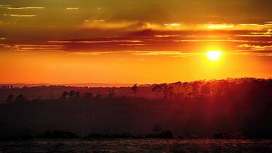 Originally a deer hunting forest in Norman times, Ashdown Forest is now one of the largest free public areas in the South East of England.
It is a great place for walking and enjoying amazing views over the Sussex countryside and is known the world over as the 'home' of Winnie-the-Pooh.