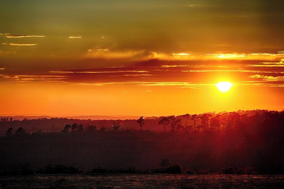 A sunset over a forested landscape with the sun low on the horizon.
