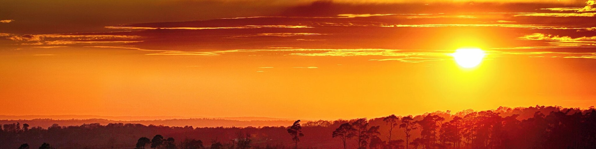 Originally a deer hunting forest in Norman times, Ashdown Forest is now one of the largest free public areas in the South East of England.
It is a great place for walking and enjoying amazing views over the Sussex countryside and is known the world over as the 'home' of Winnie-the-Pooh.