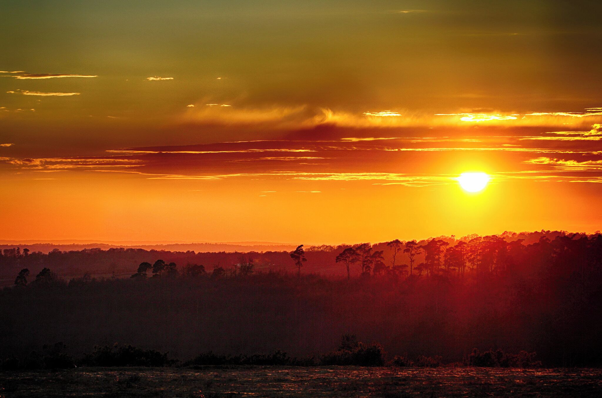 A sunset over a forested landscape with the sun low on the horizon.