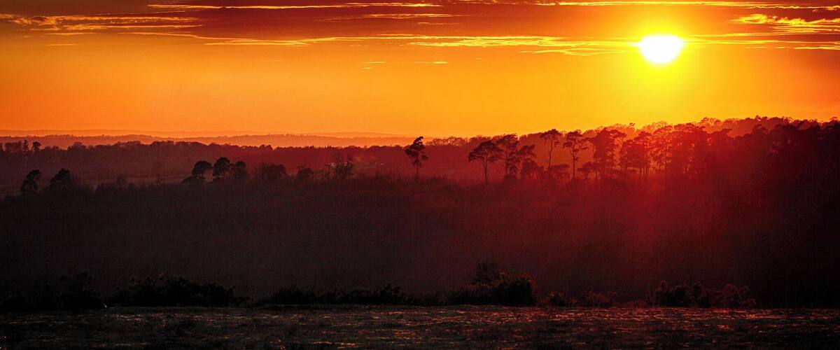 A sunset over a forested landscape with the sun low on the horizon.