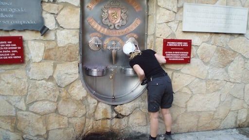 Bodegas Irache is located in Ayegui, two kilometres from Estella on the way to Santiago the Compostella.