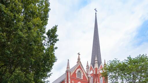 Basilica of Saint John the Baptist. Canton. Ohio. USA