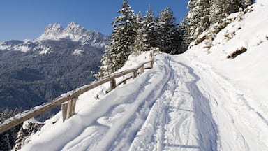 Trail on the slopes of San Vito di Cadore