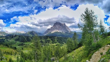 Un paisaje montañoso con un pico destacado, exuberante vegetación y un camino sinuoso.