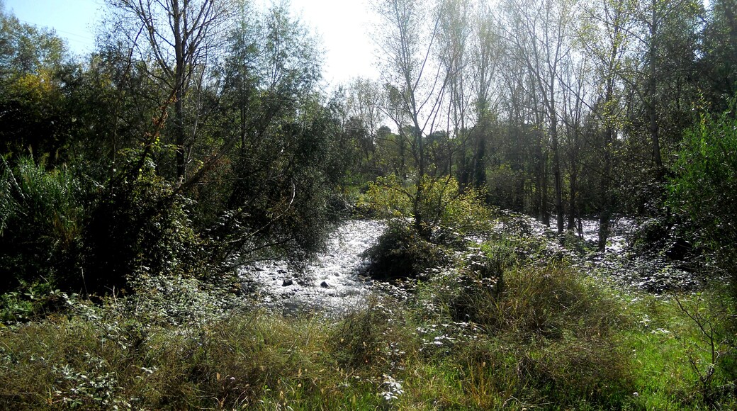 ZONA D'AIGUA BARREIG DEL LLÉMENA I EL TER (RUTA DE LES FONTS) SANT GREGORI