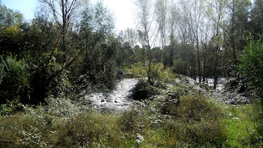 ZONA D'AIGUA BARREIG DEL LLĂMENA I EL TER (RUTA DE LES FONTS) SANT GREGORI