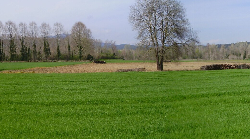 La Vall del Llémena (St Gregori)-Girona