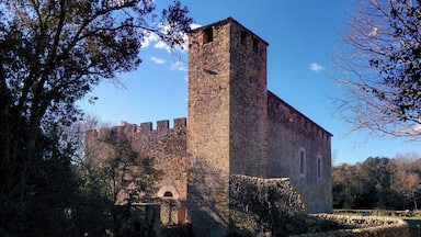 Una torre de piedra medieval con un muro almenado, rodeada de árboles y un muro de piedra.