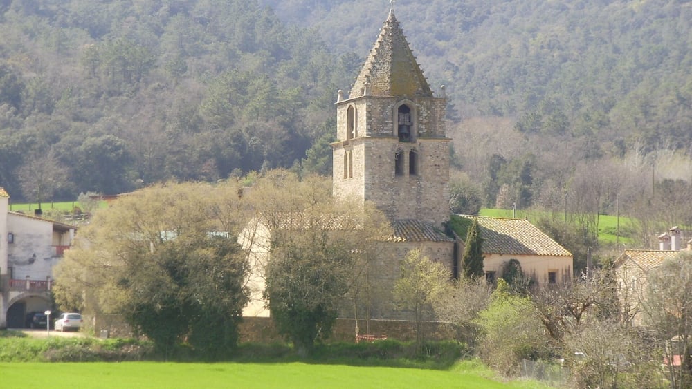 Une église en pierre dotée d’un clocher, entourée d’arbres et bordée d’un champ verdoyant.