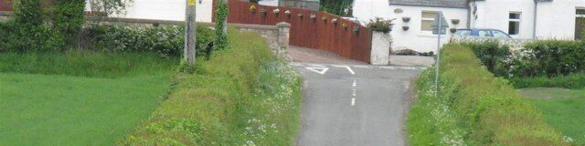 Roe Deer at Arniston The deer had just crossed the barley field to the left, and after heading away turned back and went into the field on the right.
