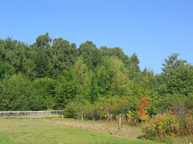Gore Glen Woodland Park, nr Arniston, Midlothian