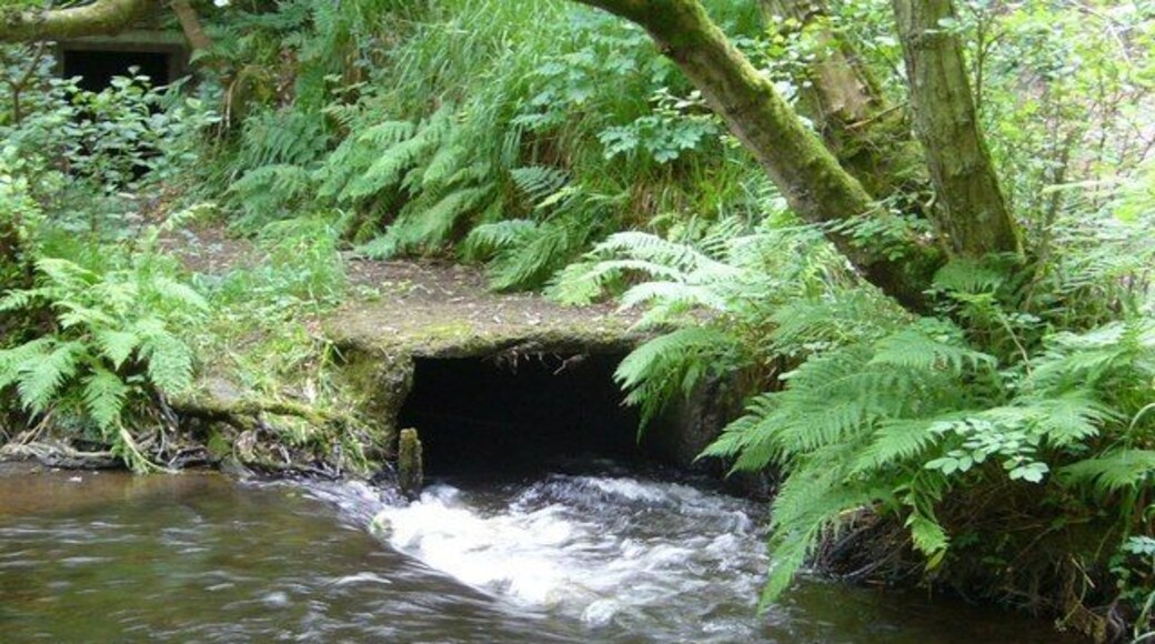 Gore Glen lade The lade provided the necessary drop for the production of hydro-electric power for the Arniston Estate. The engine-house has been abandoned, but the machinery remains in situ.