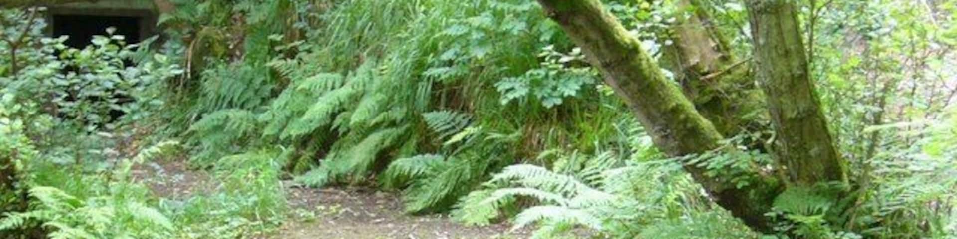 Gore Glen lade The lade provided the necessary drop for the production of hydro-electric power for the Arniston Estate. The engine-house has been abandoned, but the machinery remains in situ.