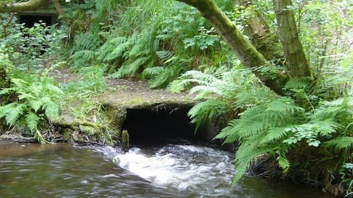 Gore Glen lade The lade provided the necessary drop for the production of hydro-electric power for the Arniston Estate. The engine-house has been abandoned, but the machinery remains in situ.