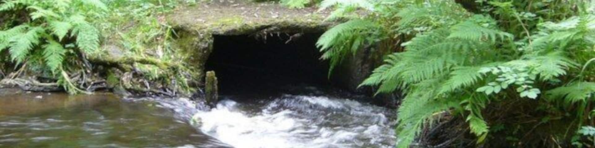 Gore Glen lade The lade provided the necessary drop for the production of hydro-electric power for the Arniston Estate. The engine-house has been abandoned, but the machinery remains in situ.