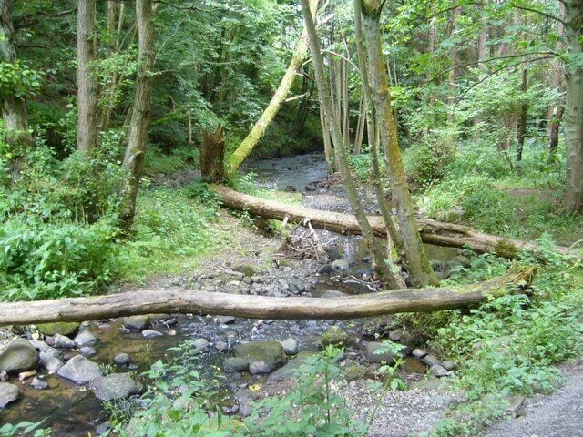Gore Glen Woodland Park The Gore Water shortly before its confluence with the South Esk.