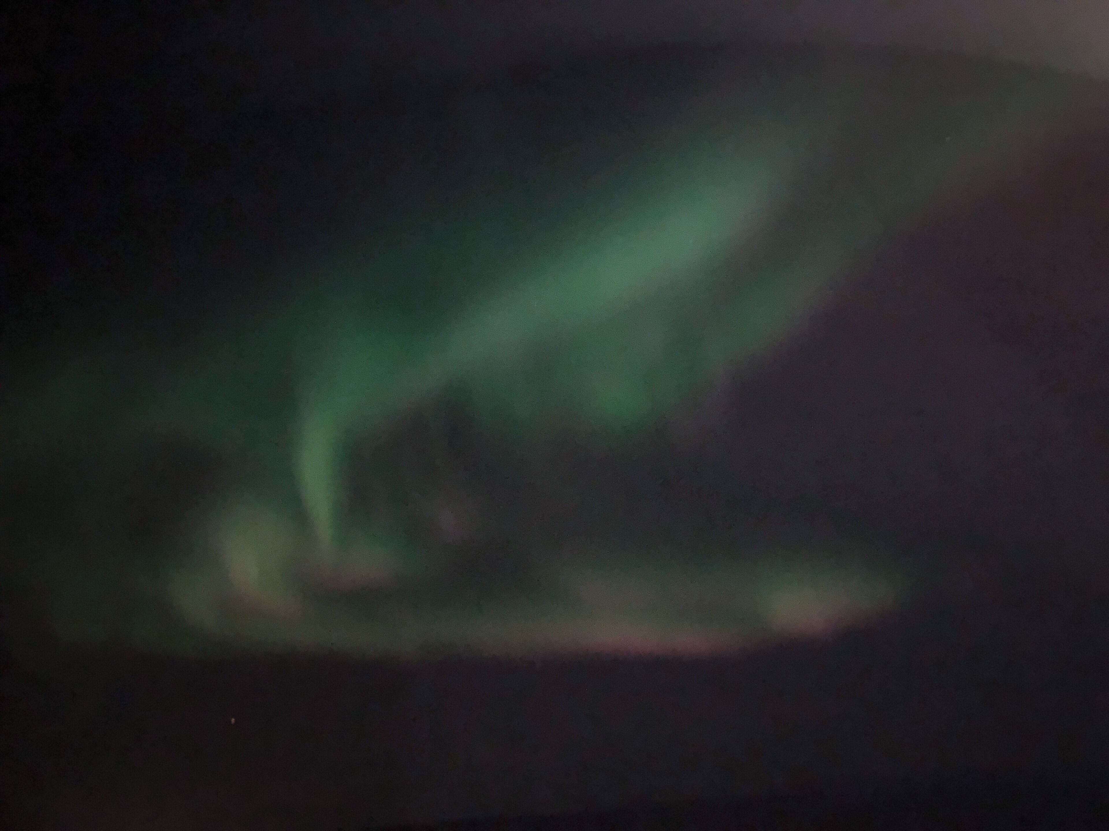A shot of the Aurora I took last night! Taken on IPhone X