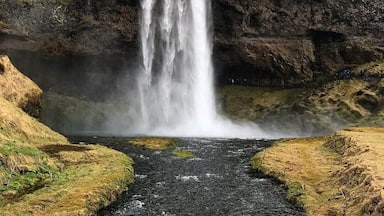 Finishing off a south coast tour of Iceland at the beautiful saljalandsfoss waterfall. You can even stand behind the waterfall #Iceland #Waterfall #Southcoast