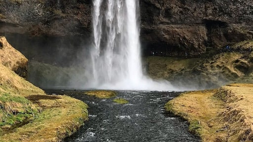 Finishing off a south coast tour of Iceland at the beautiful saljalandsfoss waterfall. You can even stand behind the waterfall #Iceland #Waterfall #Southcoast