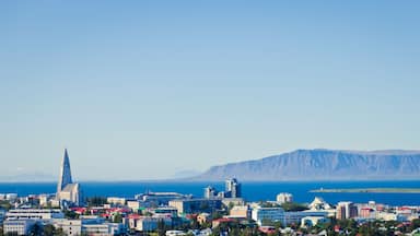 Beautiful super wide-angle aerial view of Reykjavik, Iceland