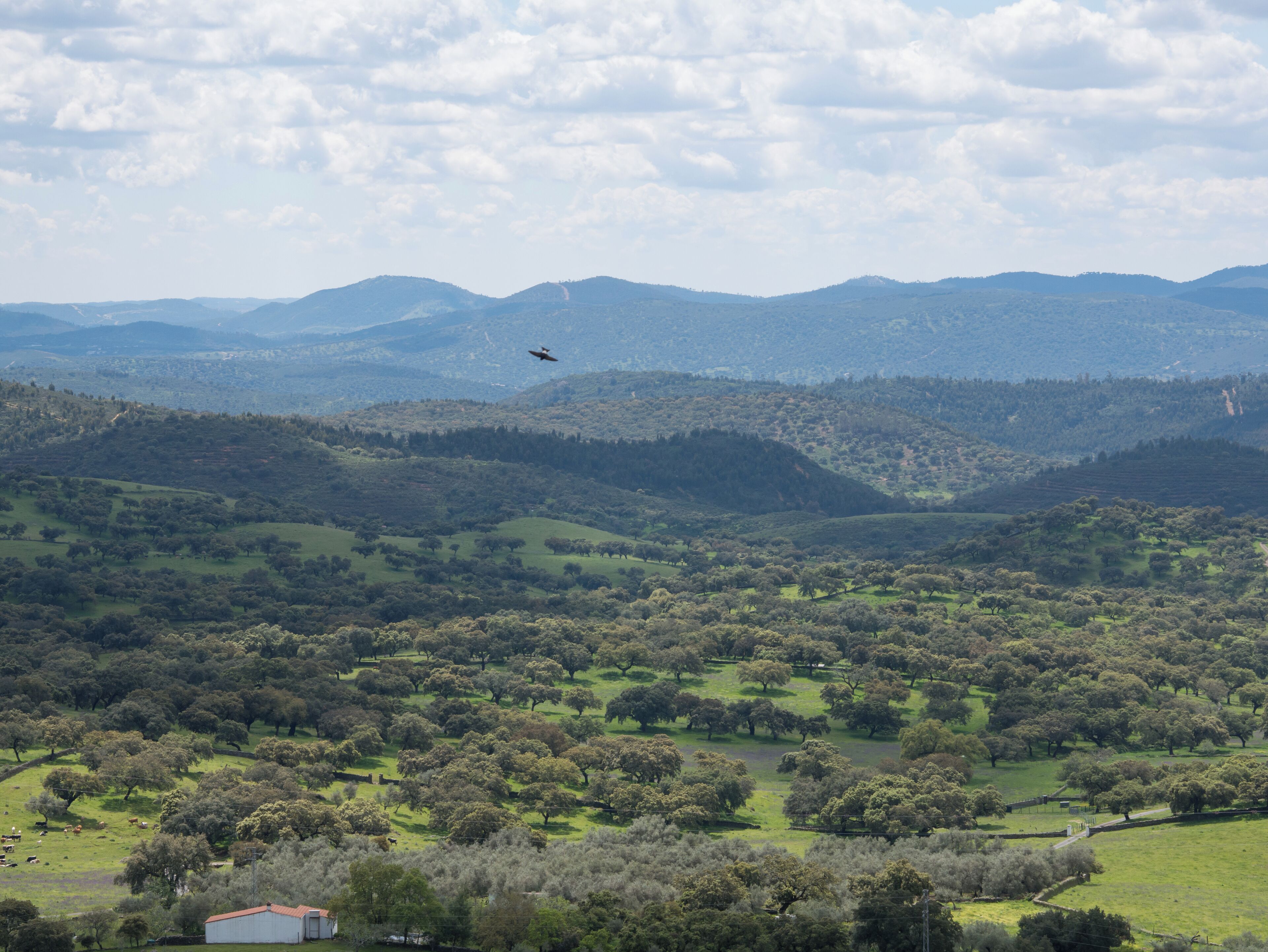Landscape, view from Aracena castle. Huelva, Andalusia, Spain