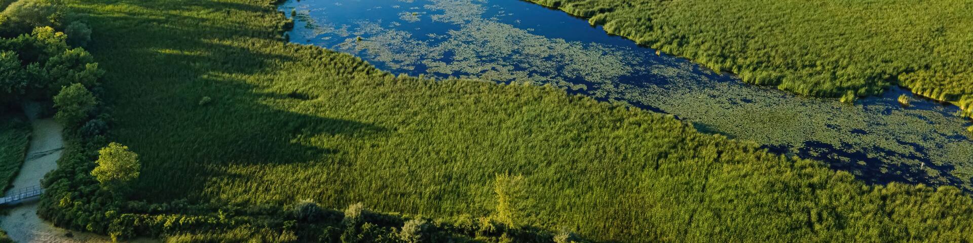 Natural View along the Fox River