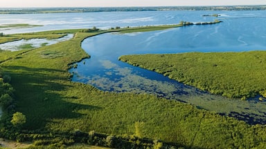 Natural View along the Fox River