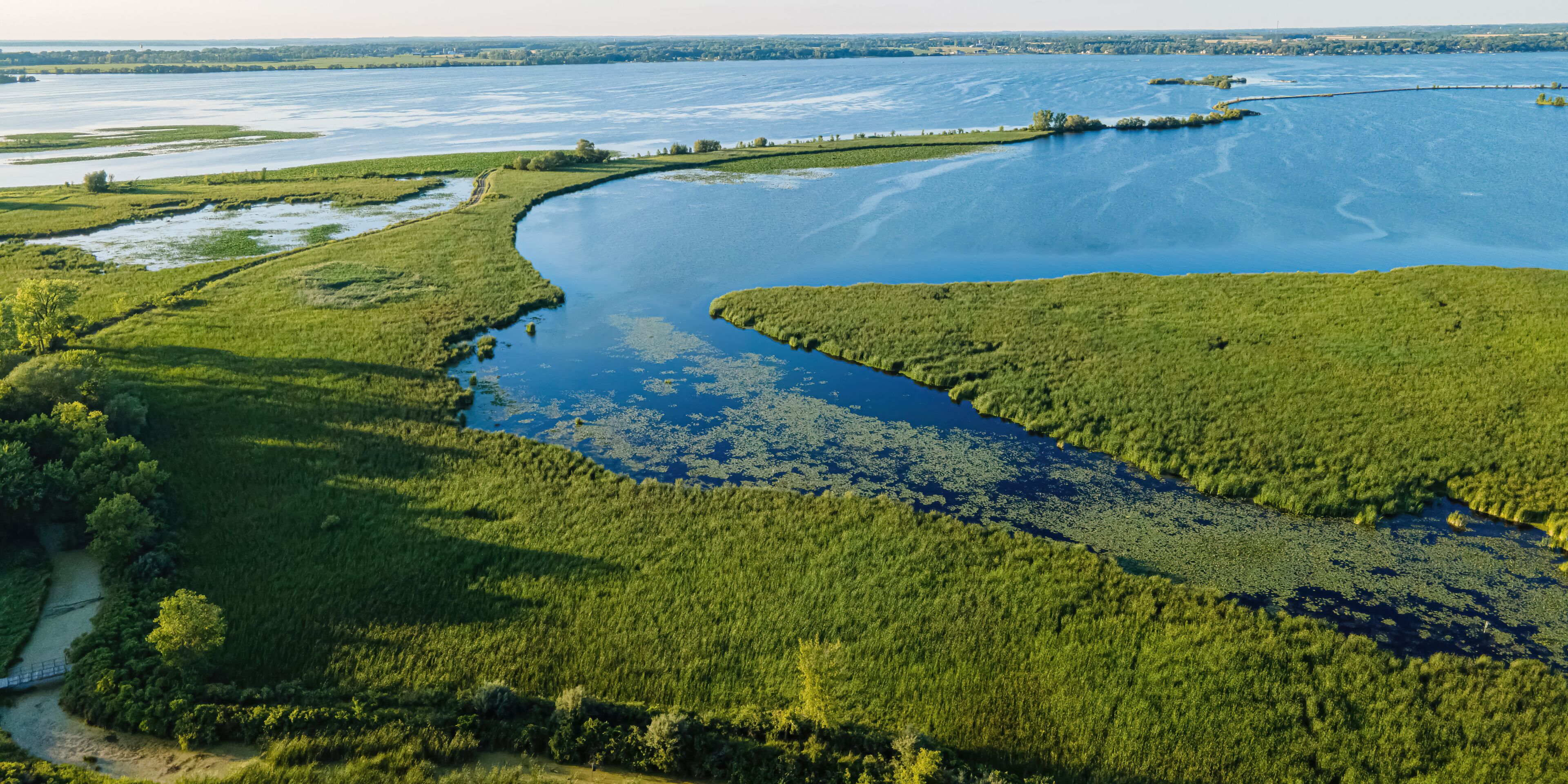 A river meandering through a lush green landscape with dense vegetation and a distant shoreline.