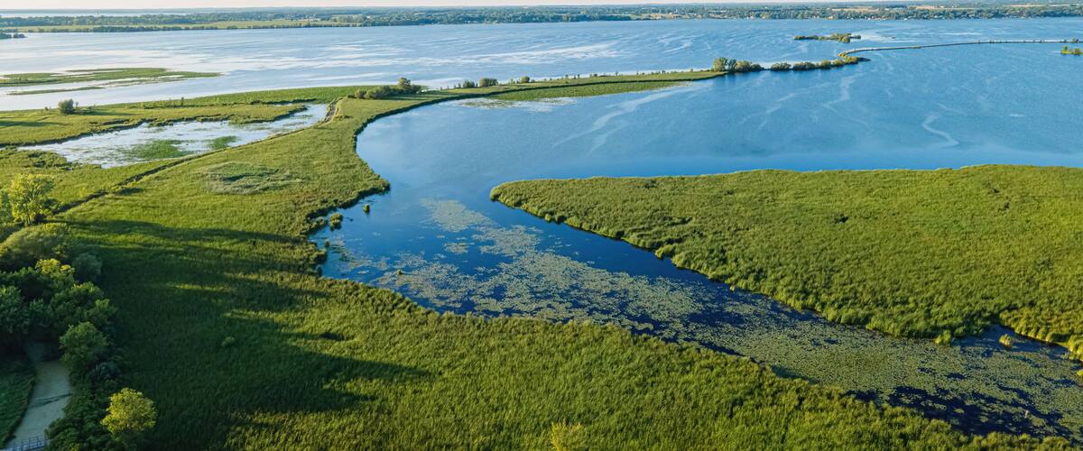A river meandering through a lush green landscape with dense vegetation and a distant shoreline.